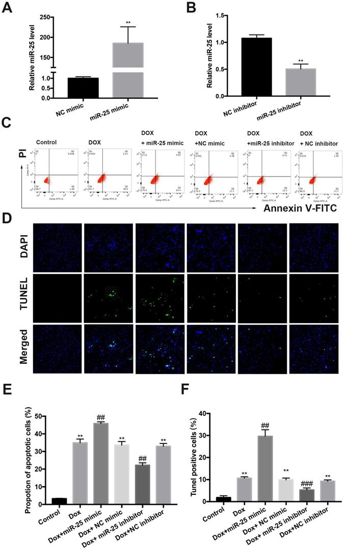 Int J Med Sci Image