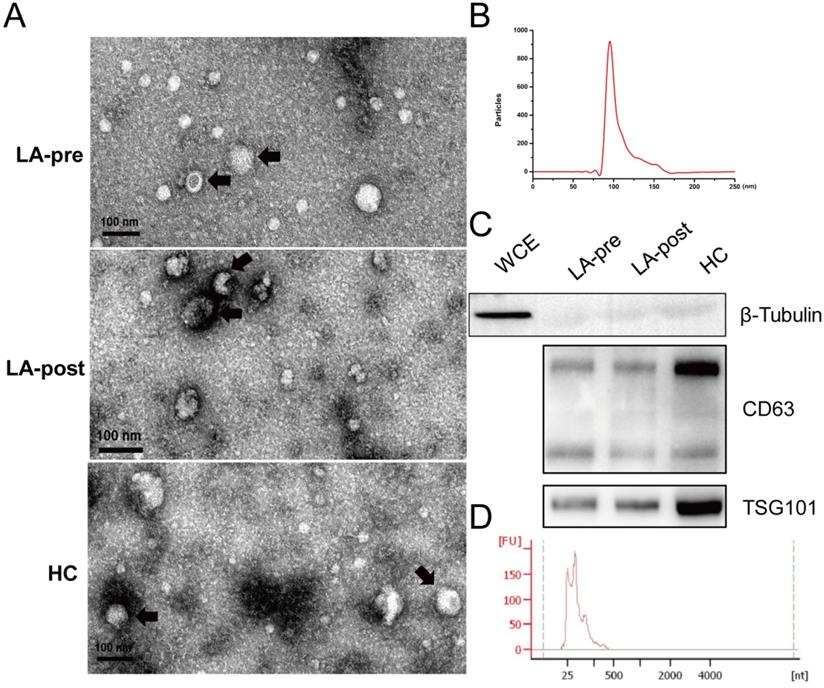 Int J Med Sci Image