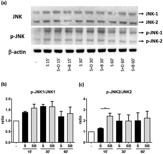 Int J Med Sci Image