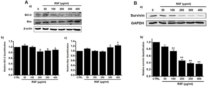 Int J Med Sci Image