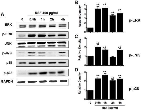 Int J Med Sci Image