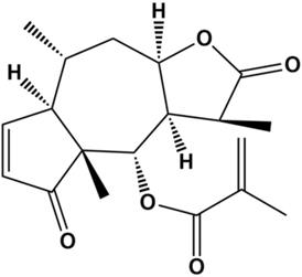 Int J Med Sci Image