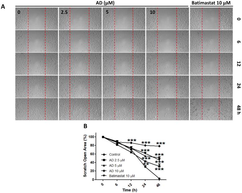 Int J Med Sci Image