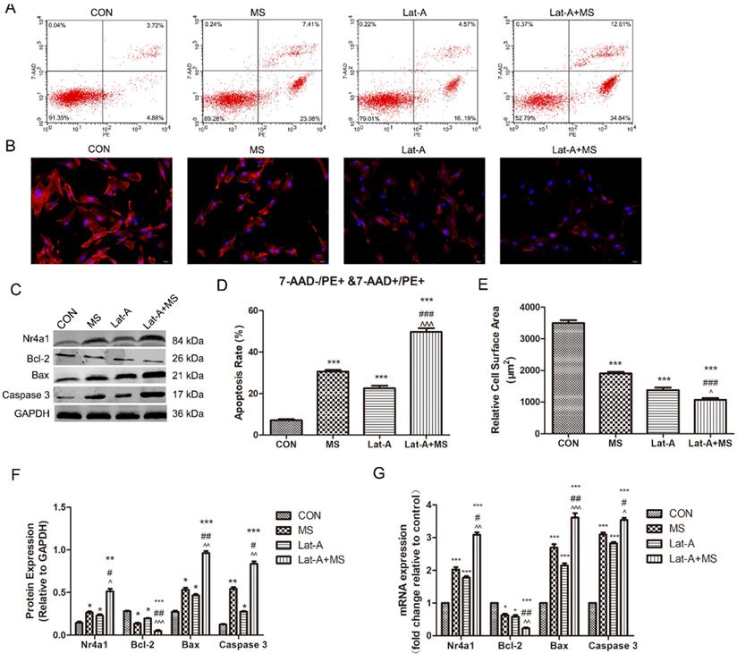 Int J Med Sci Image