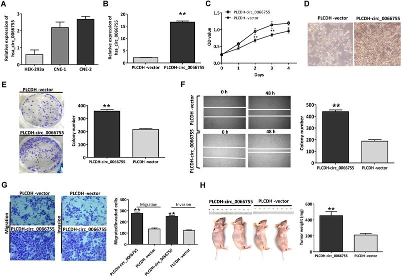 Int J Med Sci Image