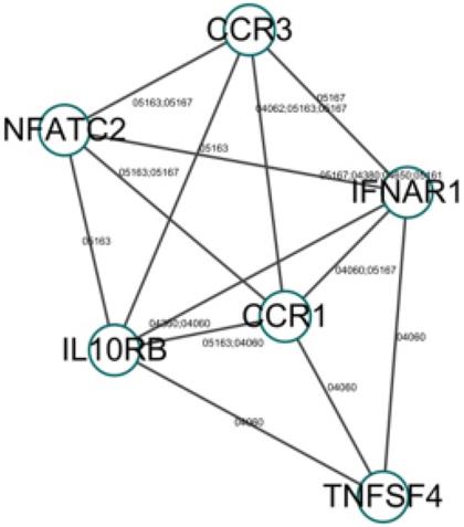 Int J Med Sci Image