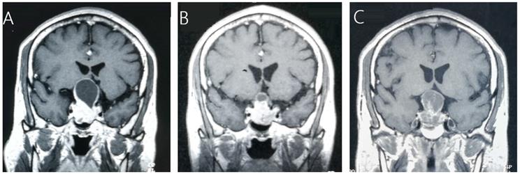 Int J Med Sci Image