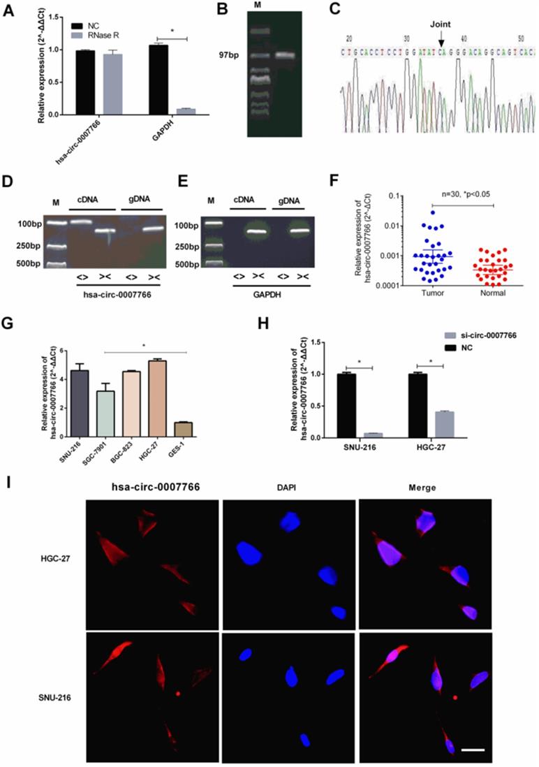 Int J Med Sci Image