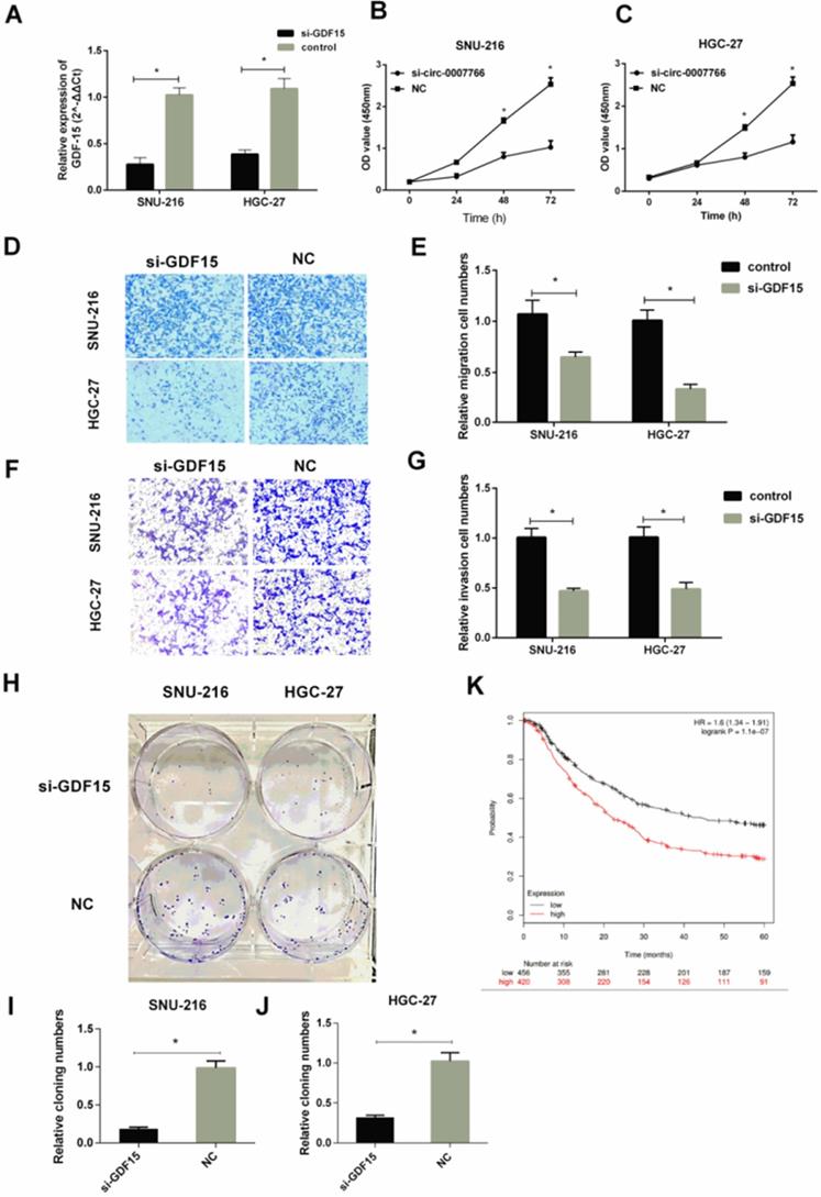 Int J Med Sci Image