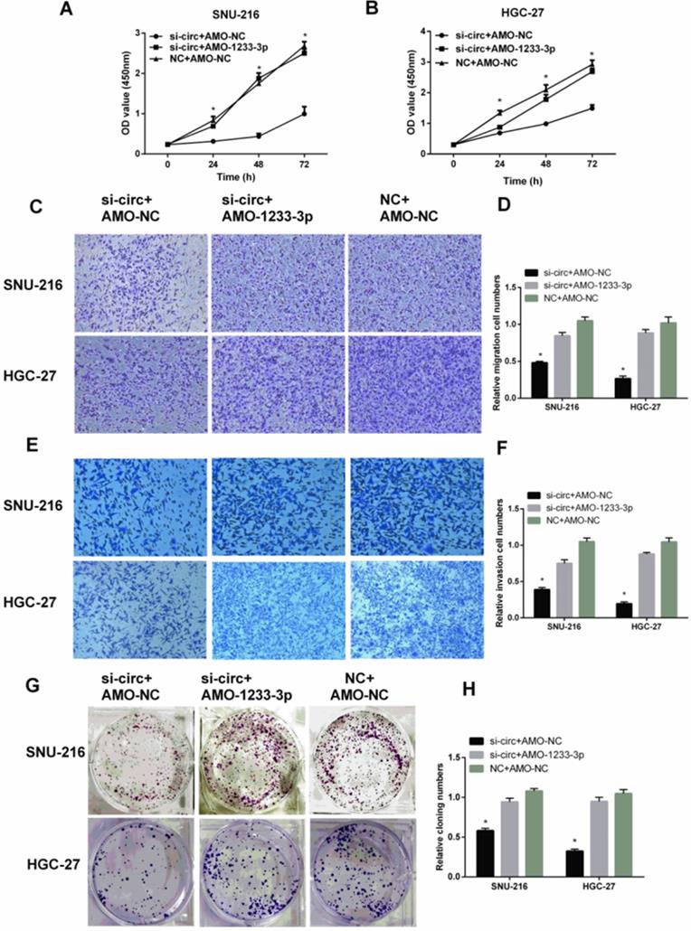 Int J Med Sci Image