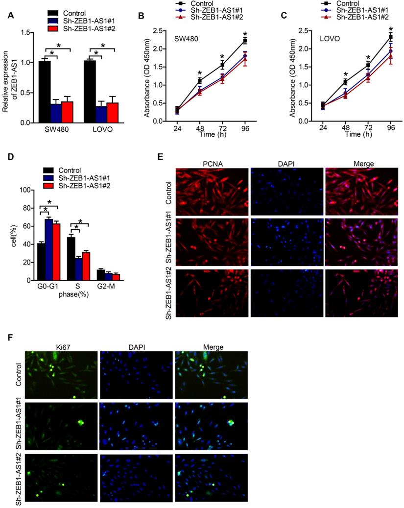 Int J Med Sci Image