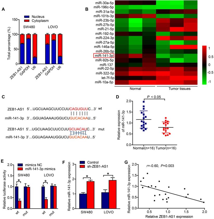 Int J Med Sci Image