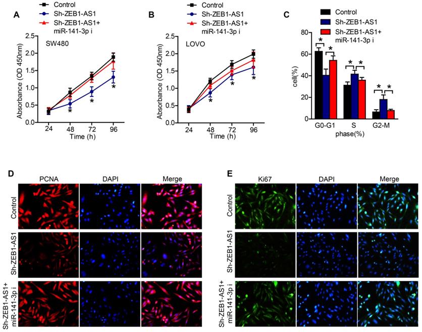 Int J Med Sci Image