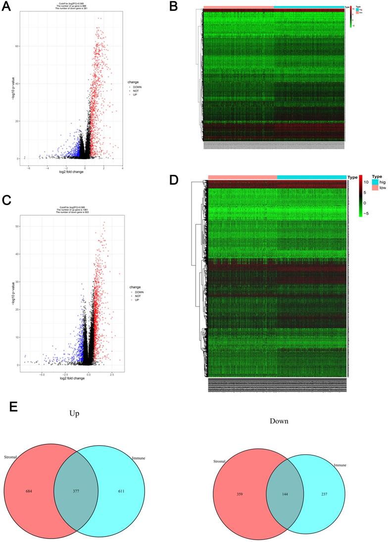 Int J Med Sci Image