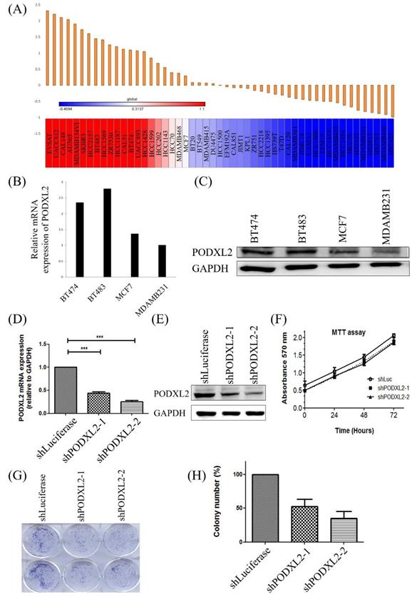 Int J Med Sci Image