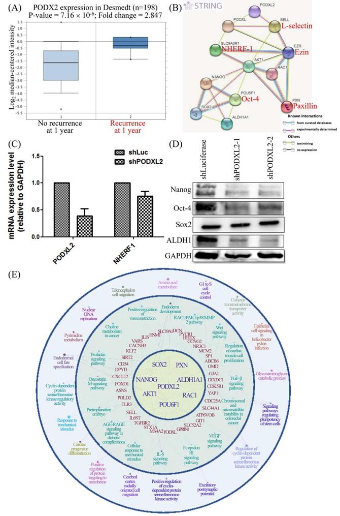 Int J Med Sci Image