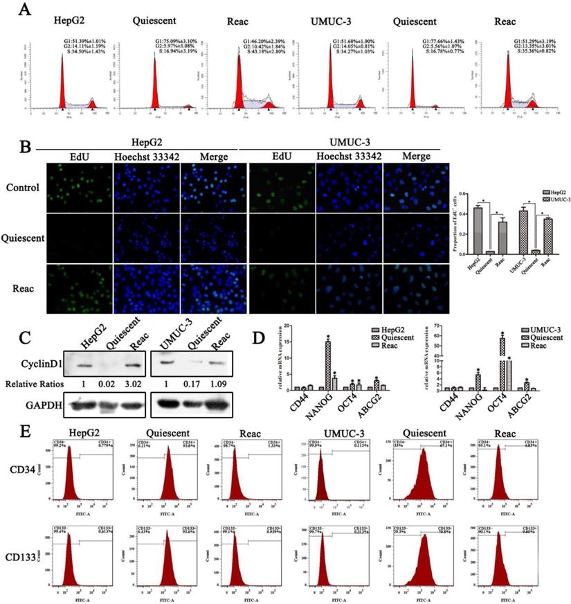 Int J Med Sci Image