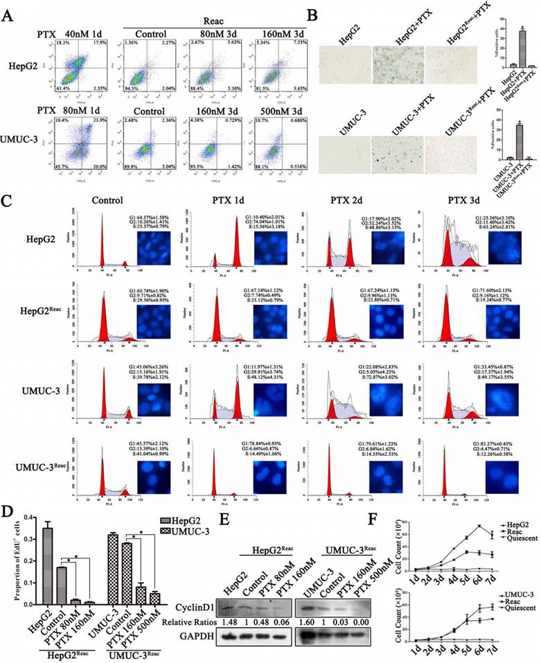 Int J Med Sci Image