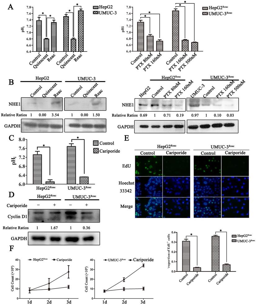 Int J Med Sci Image