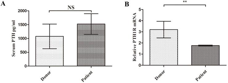 Int J Med Sci Image