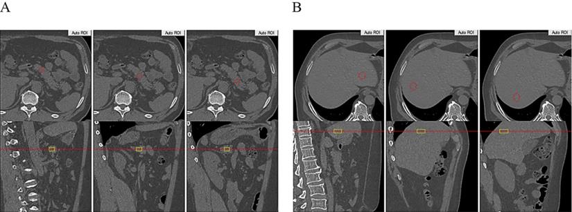 Int J Med Sci Image