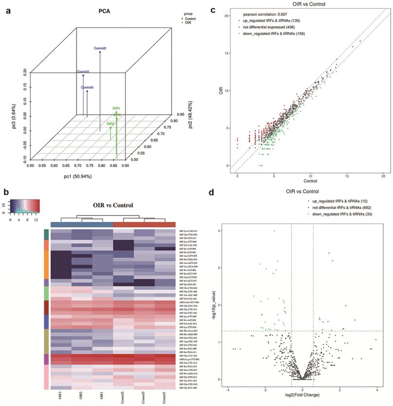 Int J Med Sci Image