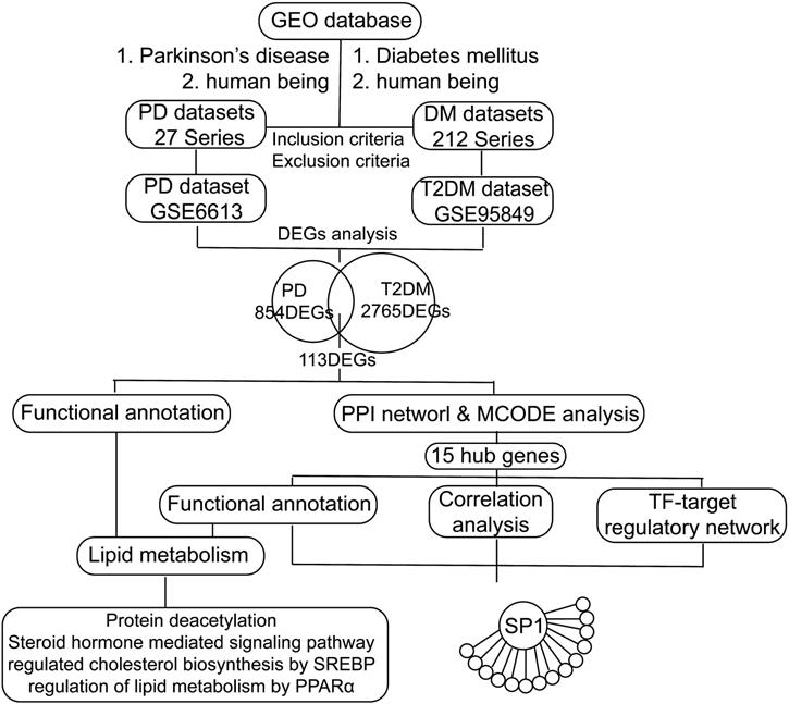 Int J Med Sci Image