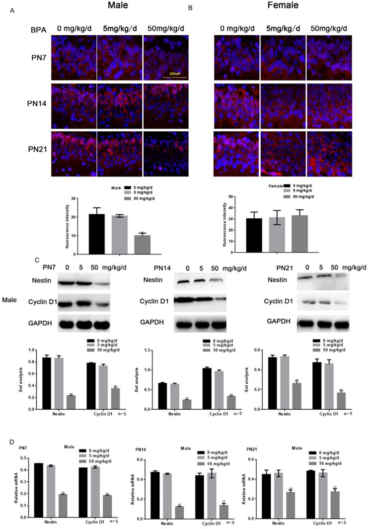 Int J Med Sci Image