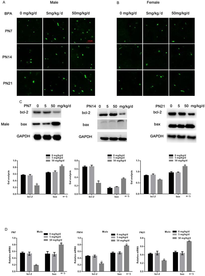 Int J Med Sci Image