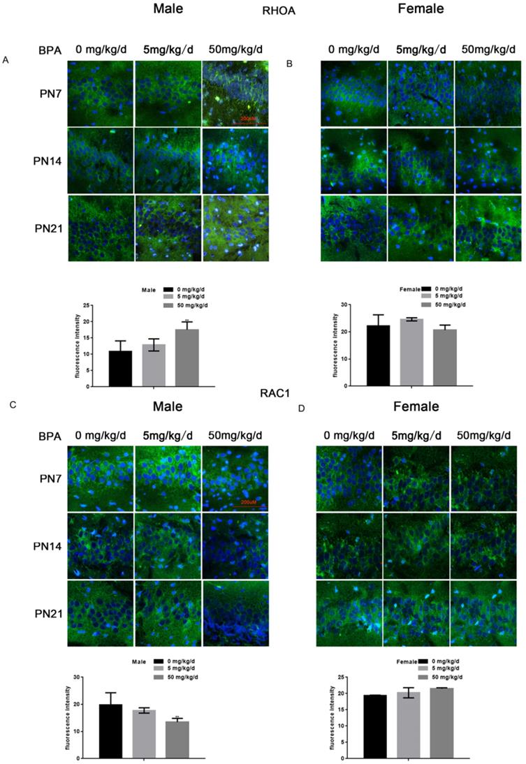 Int J Med Sci Image