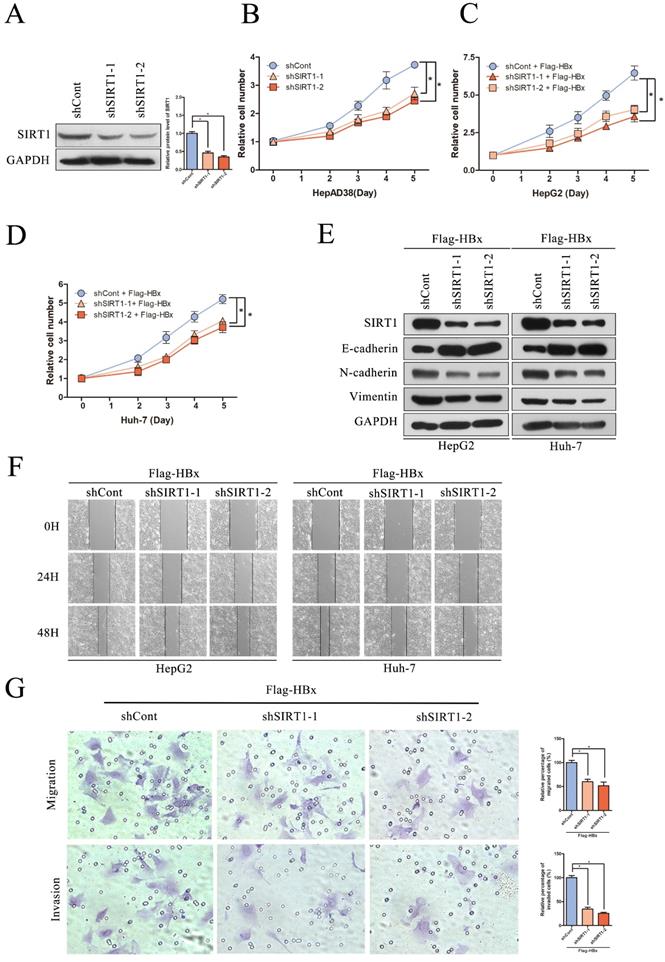 Int J Med Sci Image