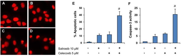 Int J Med Sci Image