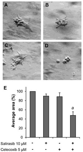 Int J Med Sci Image