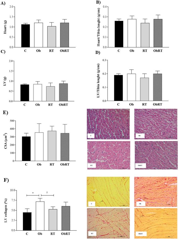 Int J Med Sci Image