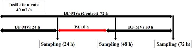 Int J Med Sci Image