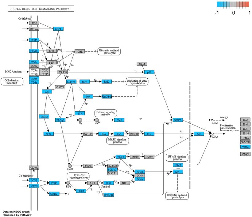 Int J Med Sci Image