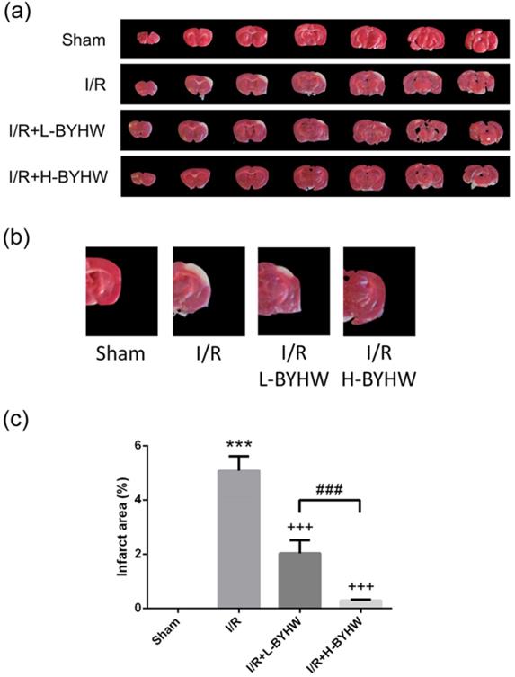 Int J Med Sci Image