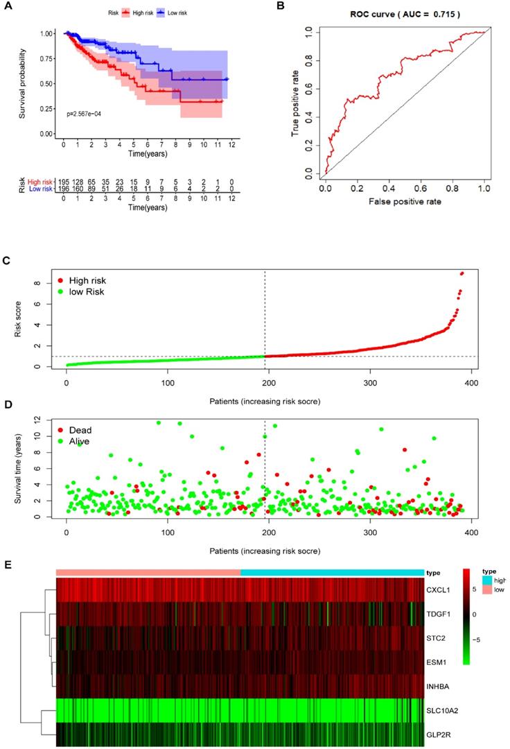 Int J Med Sci Image