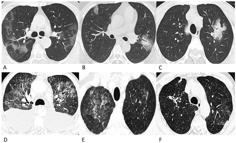 Int J Med Sci Image