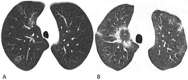 Int J Med Sci Image