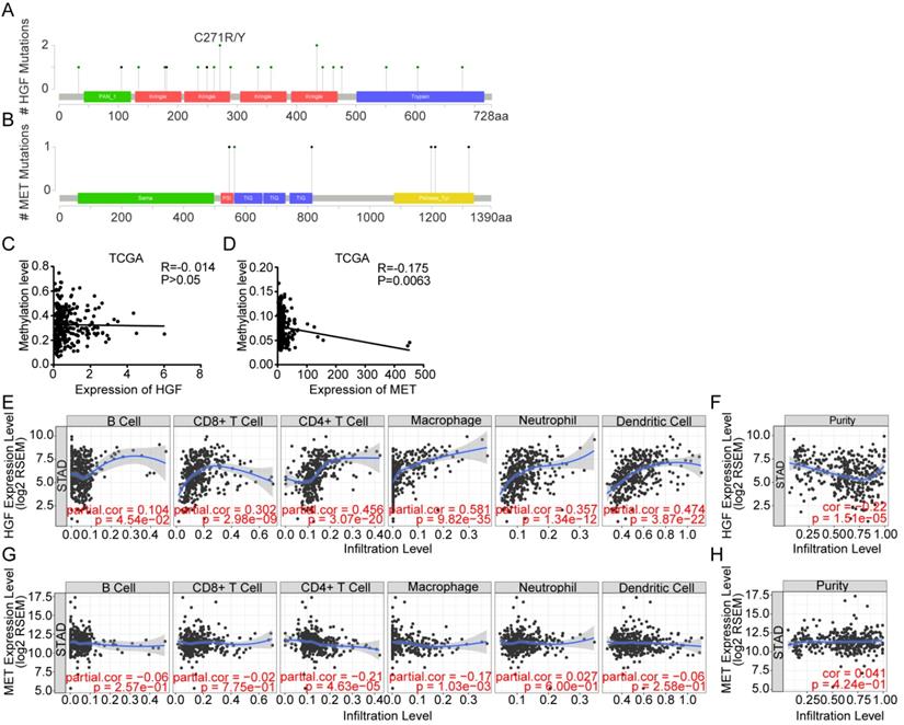 Int J Med Sci Image