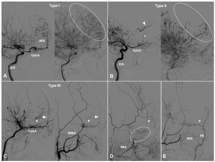 Int J Med Sci Image