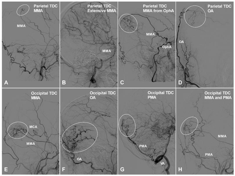 Int J Med Sci Image