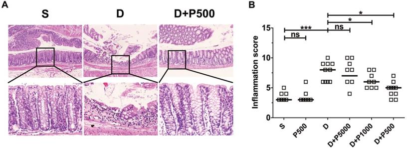 Int J Med Sci Image