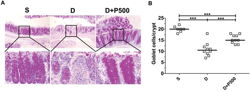 Int J Med Sci Image