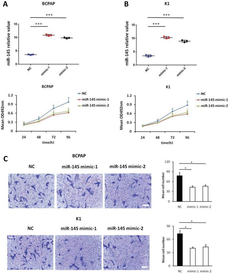 Int J Med Sci Image