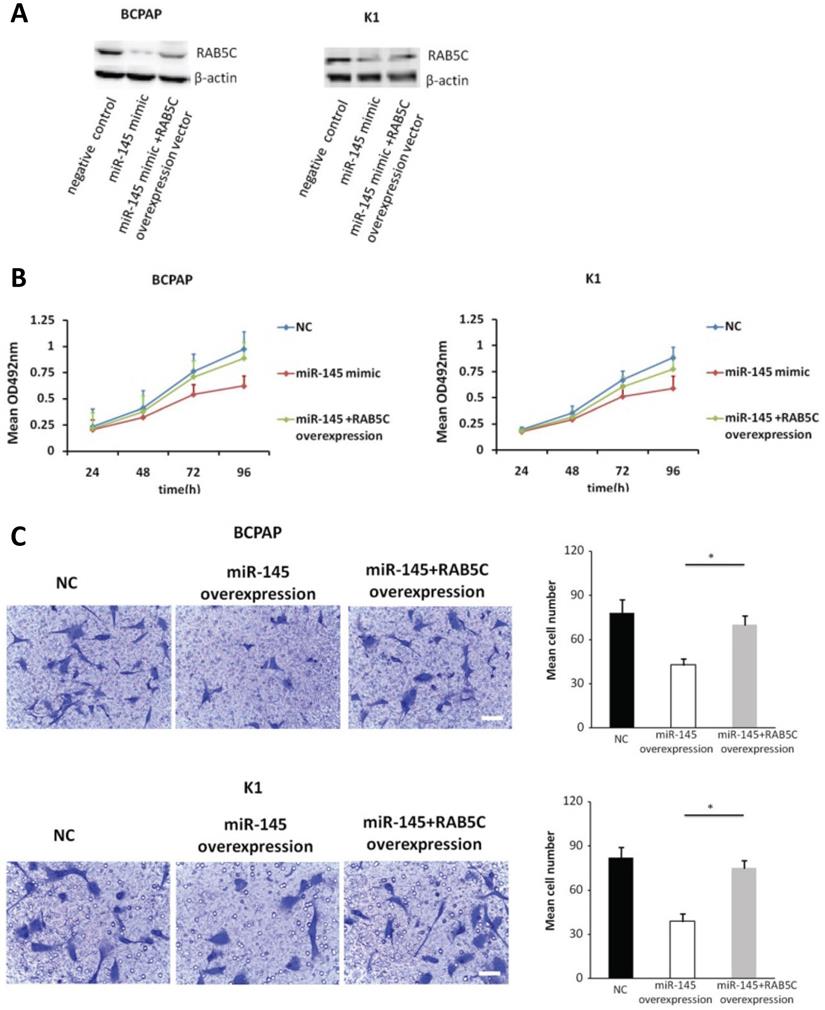 Int J Med Sci Image