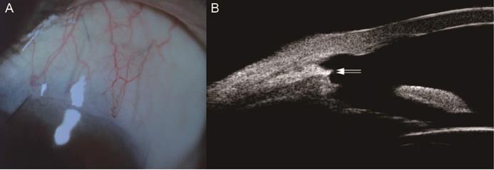 Int J Med Sci Image