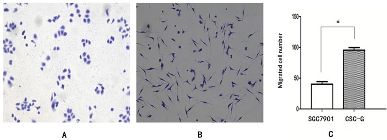 Int J Med Sci Image