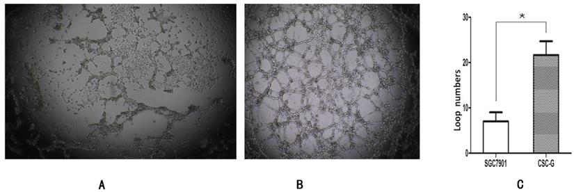 Int J Med Sci Image